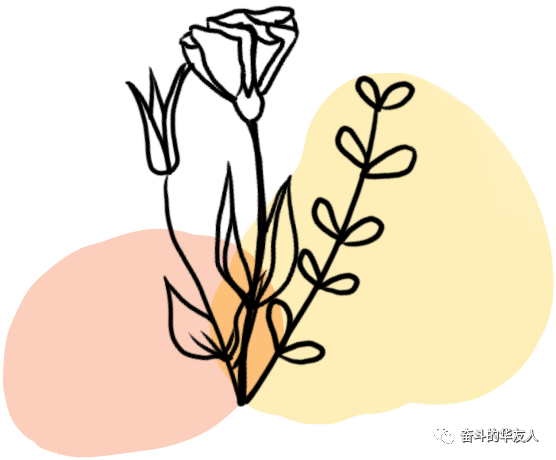 斗争华友人 幸福向未来——华友钴业举行首届整体婚礼-文化活动-浙江华友钴业股份有限公司