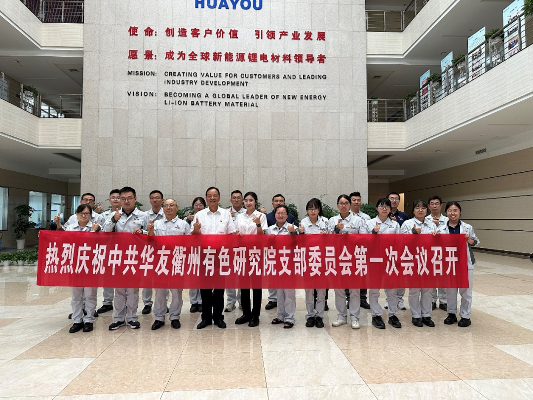 【国庆特辑（二）】党员心声：批注伟大的祖国！-党建活动-浙江华友钴业股份有限公司