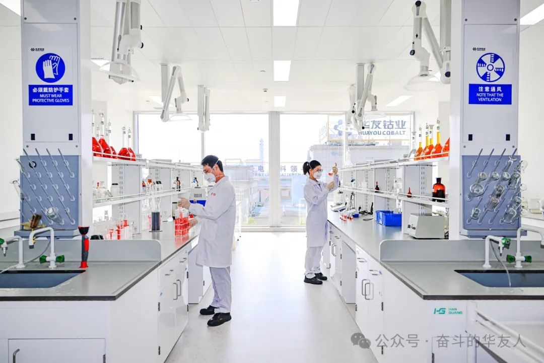 Accumulating Influences and empowerment, and promote the company's high-quality development steadily and far-reaching-News Releases-Huayou New Energy Technology (Quzhou) Co., Ltd.