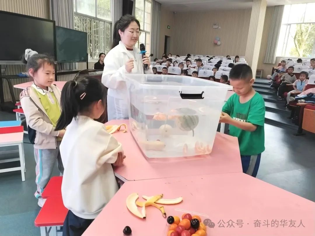 科学普及 启示未来——公司科研团走进小学-企业新闻-浙江华友钴业股份有限公司