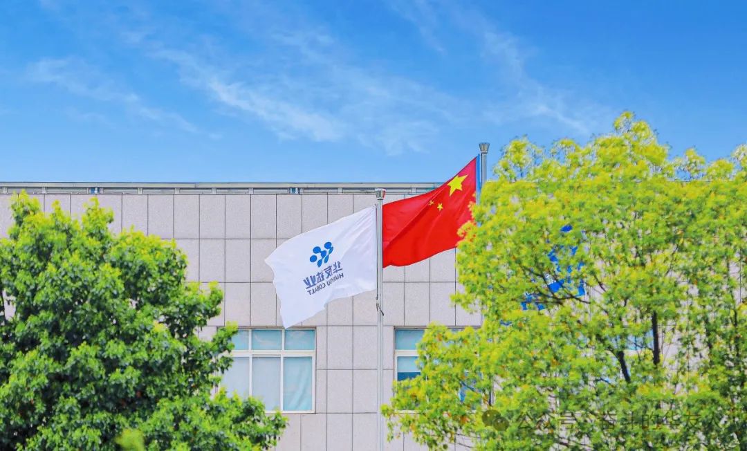 华友钴业入选“一带一起”最佳实践案例！-企业新闻-浙江华友钴业股份有限公司