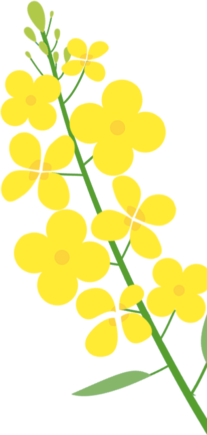 踏青筑梦 活力偕行|华友广西工业园团委组织开展主题团日运动 -团委运动-浙江华友钴业股份有限公司