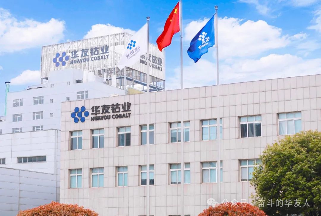 【媒体看华友】华友钴业董事长陈雪华：科技立异是头等大事 三元质料预期优异-媒体报道-浙江华友钴业股份有限公司