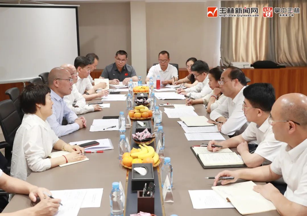 Join Hands to Build the Future! Yulin Party Secretary Wang Chen and Mayor Zhang Huiqiang Discuss with Chairman Chen Xuehua in Nanning-News Releases-Huayou New Energy Technology (Quzhou) Co., Ltd.