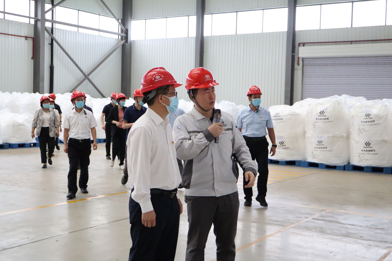 党建联建聚协力，，校企携手谱新篇章 丨华友广西园区与广西大学开展党建联建共建运动-党建运动-浙江华友钴业股份有限公司
